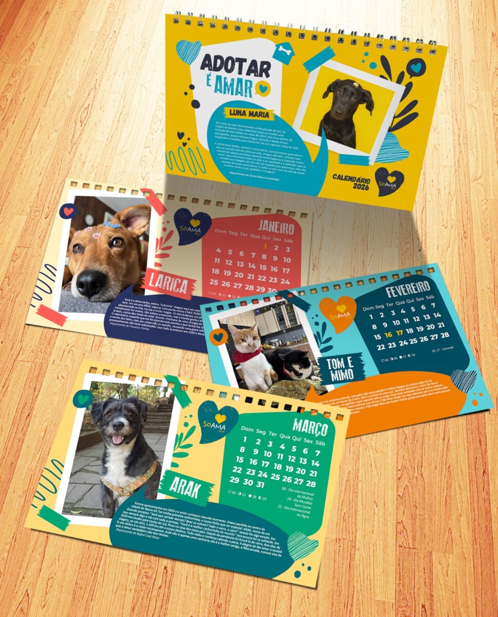 calendário 2026 divulgação